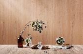 White Oak  Wood Veneers From Mikasa Decowood Veneers 